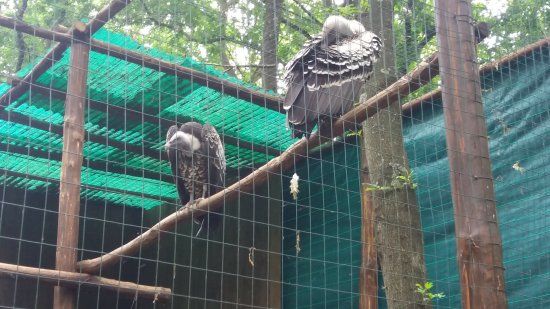 Parco Natura La Selvotta