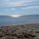 Pizzeria Roma Capitale