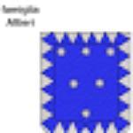 Cris. Max Cafe Snc Dei Fratelli Biferi