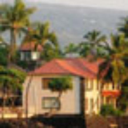 Pizzeria Tavola Calda