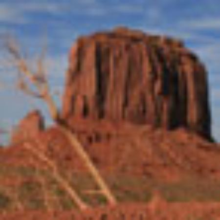 Roadhouse Restaurant