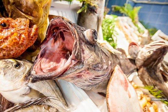 Antica Pescheria Galluzzi