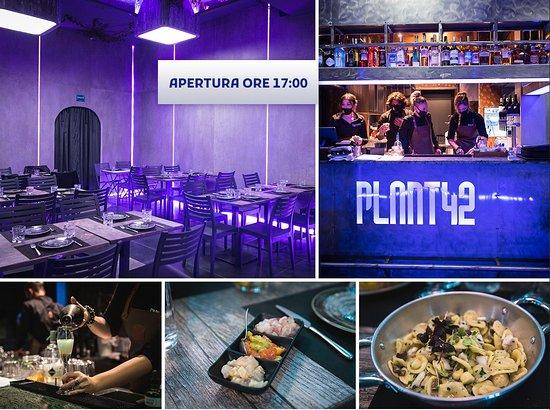 Plant 42