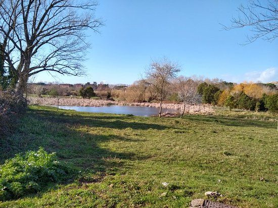 Park of the Caffarella