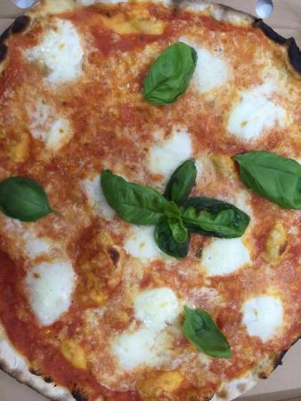 Rimpizzamose Fleming