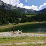 Pizzaioli napoletani