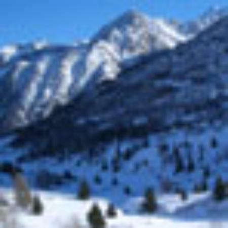 Bar Pasticceria I Talenti