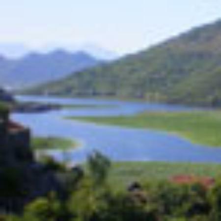 Aziende Agricole Romane